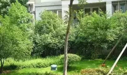 背景音樂(lè)系統(tǒng)室外音箱