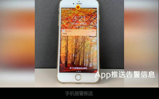 ?？低暿謾C(jī)APP報(bào)警推送